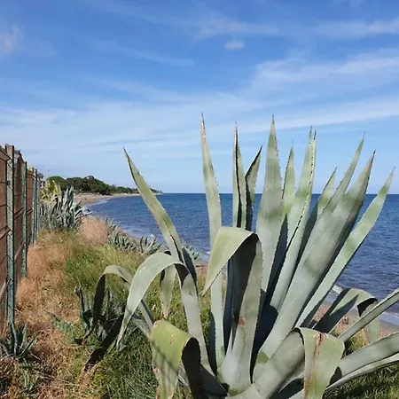 Apartmán Face A La Mer Avec Piscine Corse