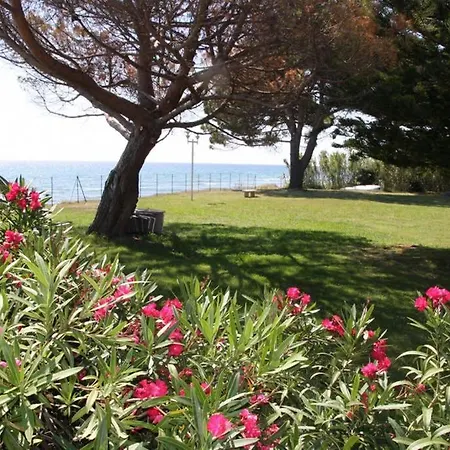 Face A La Mer Avec Piscine Corse