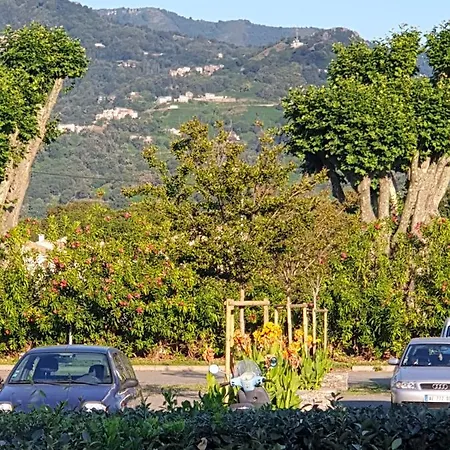 Face A La Mer Avec Piscine Corse Apartmán